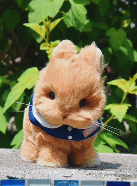 毛绒玩偶材料包手工猫憩