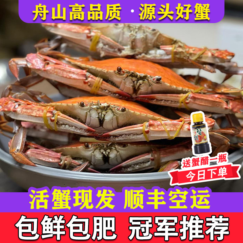 【保鲜不保活】舟山梭子蟹公母特大新鲜野生飞蟹白蟹海蟹螃蟹顺丰