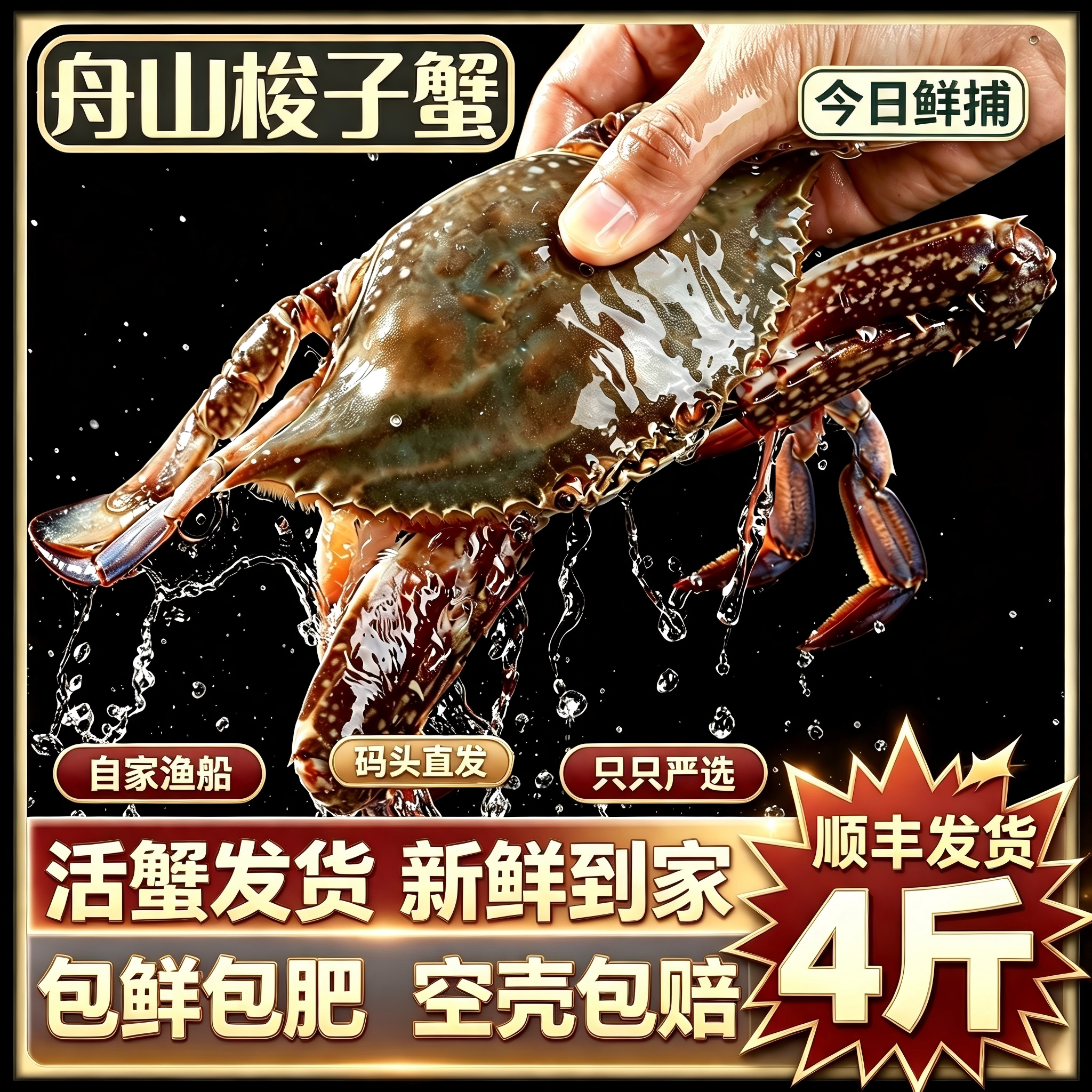 【保鲜不保活】舟山梭子蟹活海蟹新鲜海捕活发特大螃蟹梭飞蟹送礼