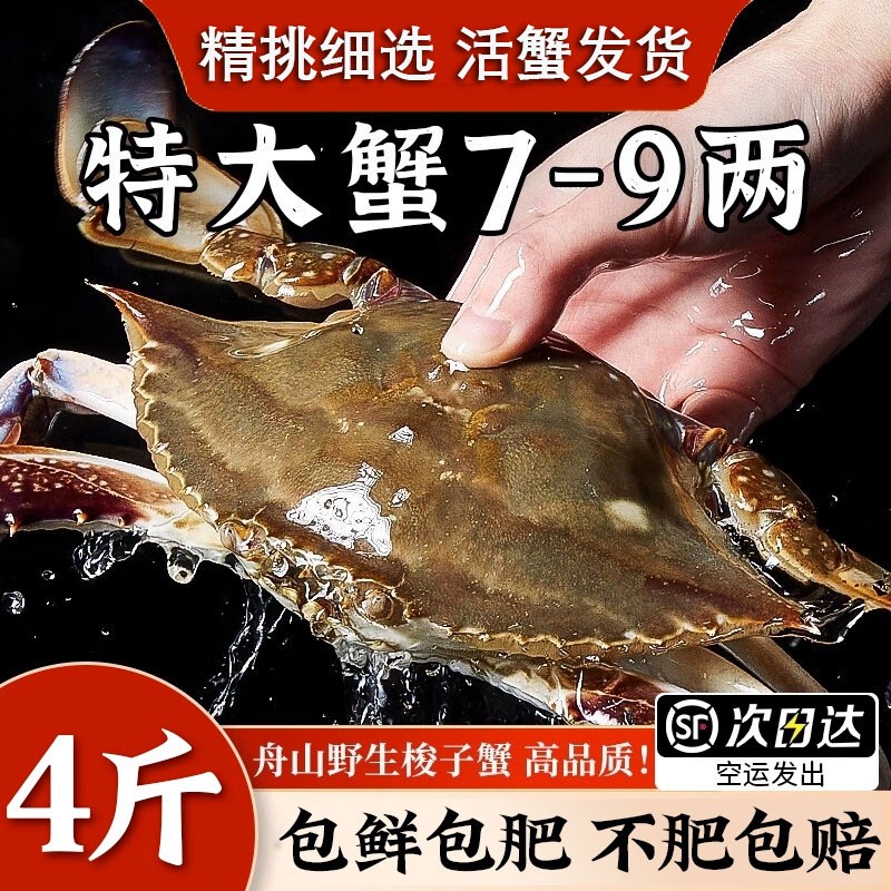 【保鲜不保活】舟山梭子蟹活海蟹新鲜海捕活发特大螃蟹梭飞蟹送礼