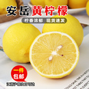 四川安岳黄柠檬尤力克茶饮店专用新鲜一级孕妇大水果皮薄汁多 包邮