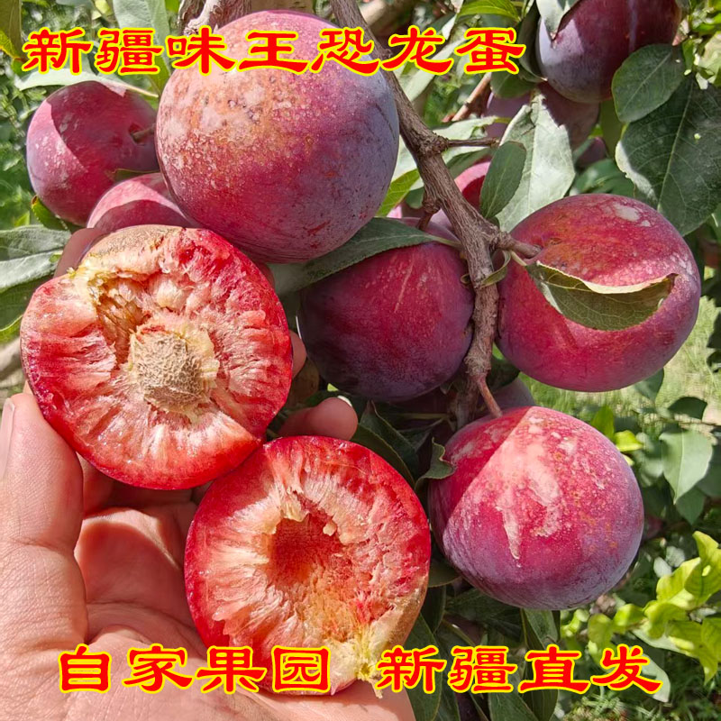 新疆紫皮味王恐龙蛋香味十足