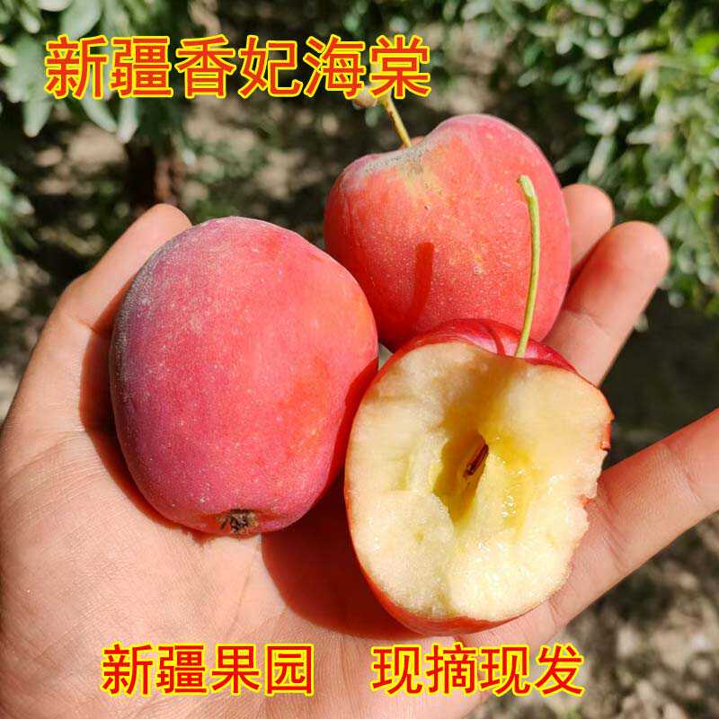 当季脆甜新疆冰糖心海棠果