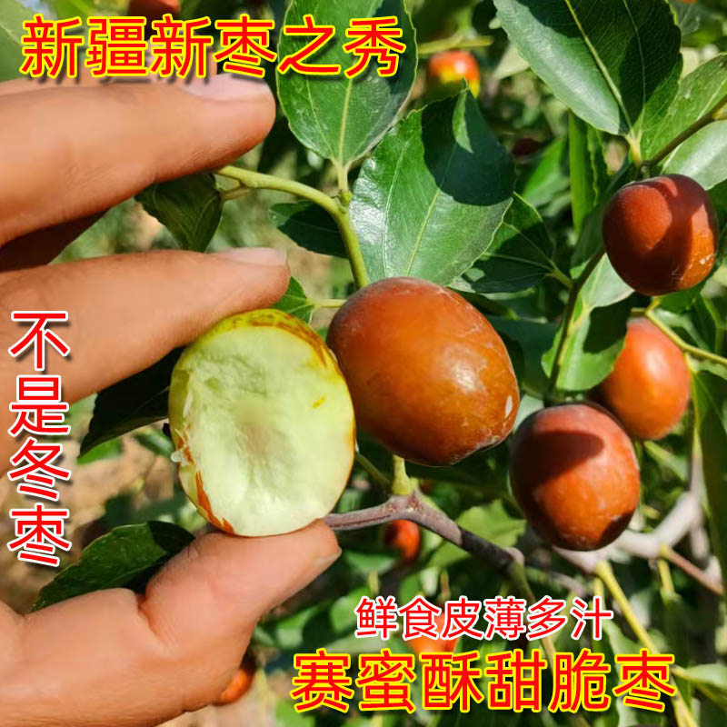 2025新疆阿克苏鲜红枣鲜枣脆红枣