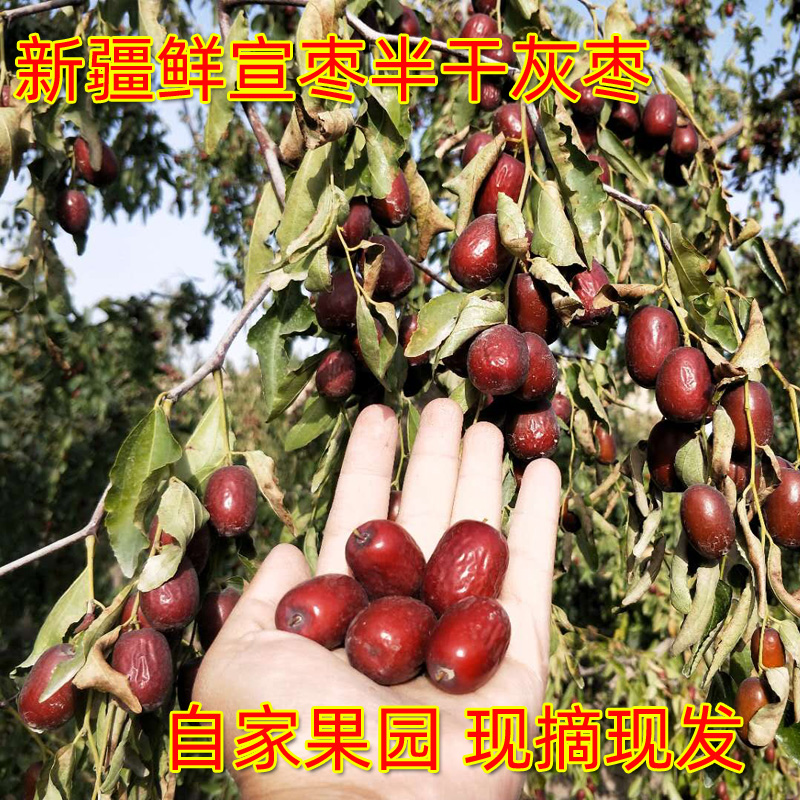 【自家果园】2025年新红枣新疆阿克苏鲜灰枣宣软红枣灰枣5斤包邮