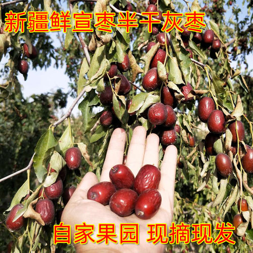 2024新疆阿克苏鲜红枣脆红枣