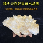 稀少天然黄水晶簇摆件原矿石居家办公室书桌装 饰品消磁芒果黄礼品