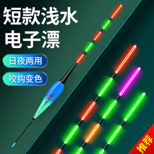 浅水电子漂日夜两用变色夜光漂