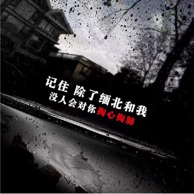 除了缅北和我没人在对你掏心掏肺汽车装饰贴/反光贴