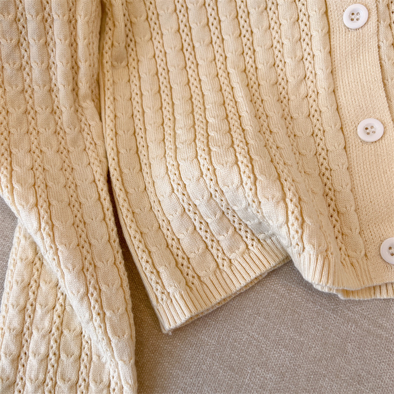 BIG BRANDS PICK UP THE KOREAN INS-STYLE POLO NECK KNITTED CARDIGAN WOMENS 2024 NEW FRENCH HIGH-QUALITY SWEATER JACKET