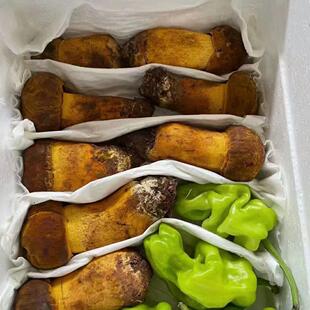 云南野生黄牛肝菌，菌帽运输过程中容易掉不影响食用，介意者慎拍