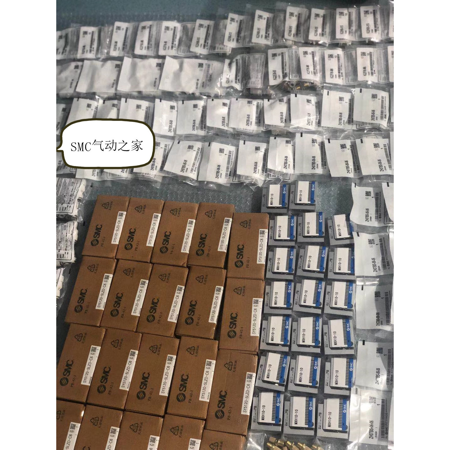 SMC VFS2120 VFS2130-1 2 3 4 5EB TZ LZ DZ DZB DZC GS-01-02-F