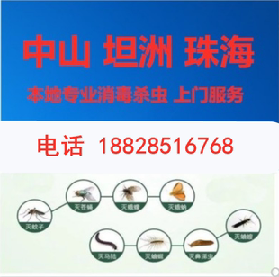中山三乡坦洲珠海上门杀虫专业灭蟑螂除老鼠防治白蚁服务家庭除虫