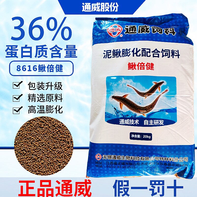 通威泥鳅饲料营养台湾泥鳅苗黄金图片