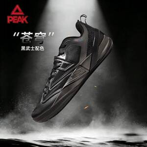 【蒙克中国行】匹克态极篮球鞋苍穹低帮实战耐磨减震专业运动球鞋