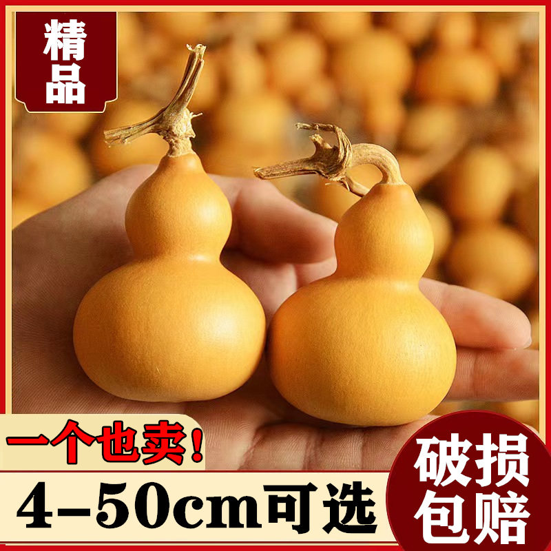 天然胖墩葫芦文玩胖梨形编制摆挂手把件绕指柔许愿小葫芦红书爆款