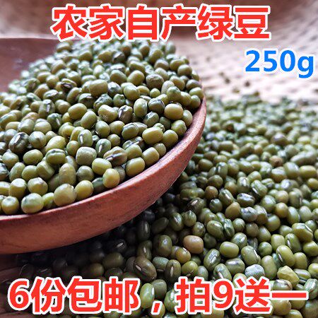 农家自产新鲜明绿豆小绿豆笨毛绿豆250g新货 五谷杂粗粮 可发豆芽