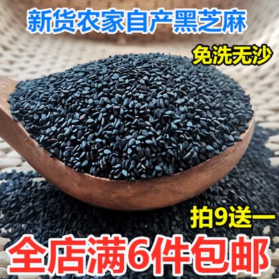农家自产生黑芝麻 油芝麻新货可榨油免洗无沙粒黑芝麻250g散装