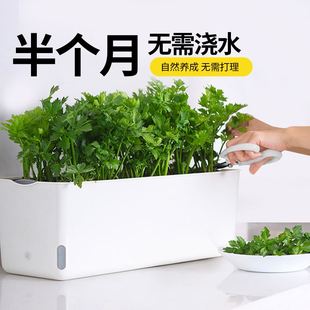 家用阳台懒人长方形自吸水种菜盆专用蔬菜种植箱种菜种植花盆塑料