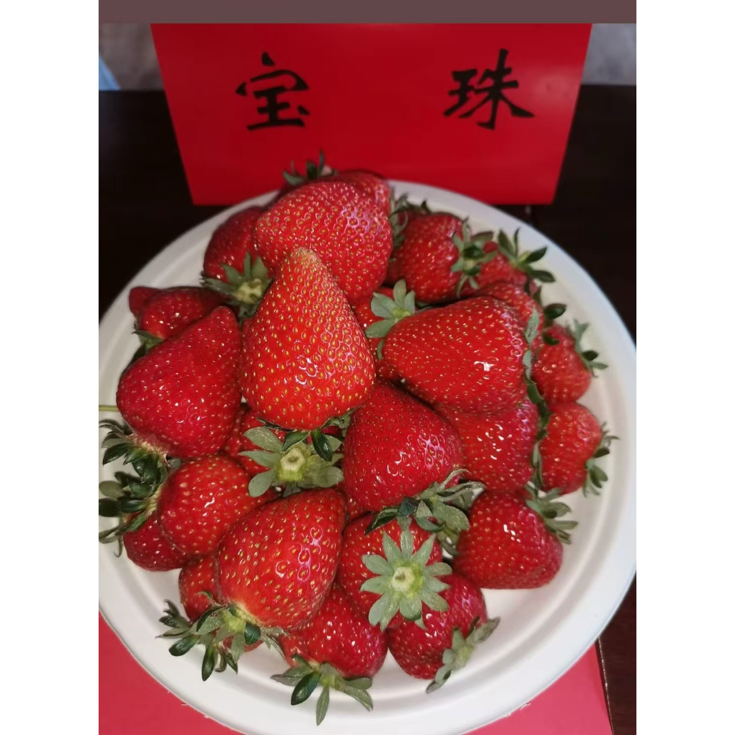 【直播】宝珠草莓苗盆栽图片