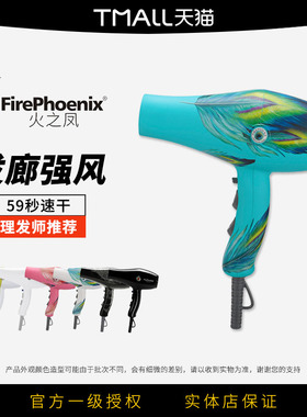 火之凤吹风机正品发廊专用大功率理发店家用负离子护发不伤发8960