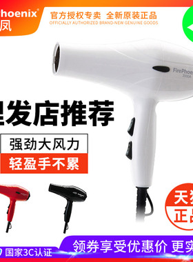 火之凤3000S专业理发店发廊家庭专用电吹风机大功率冷热风筒正品
