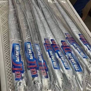 大连渤海湾刀鱼冷水小眼油带鱼新鲜冷冻当地海捕大号大连带鱼