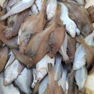 大连新鲜偏口鱼长脖鱼小扁口鱼冷冻海鲜水产鲽鱼大小混装4斤包邮