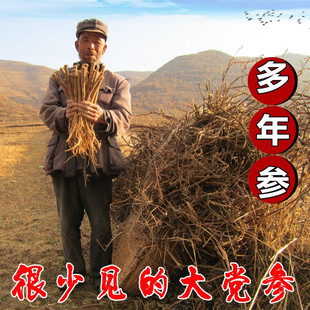 多年生大条党参500克g包邮特级无硫潞党生上党当参非野生党参