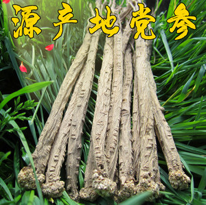 大条党参500克g包邮甘肃无硫党生上党当参生党参非野生特级潞党参