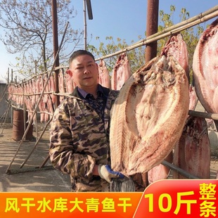 湖北特产农家腊货年货咸鱼干腊鱼风干鱼水库大螺蛳青鱼干10斤整条