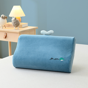 秋冬季 乳胶枕套宝宝绒牛奶水晶绒枕头套儿童卡通记忆枕芯套50