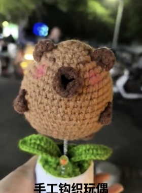 手工卡皮巴拉盆栽 可爱水豚学生宿舍摆件 闺蜜毕业走心小礼物