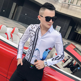 白色章鱼之恋