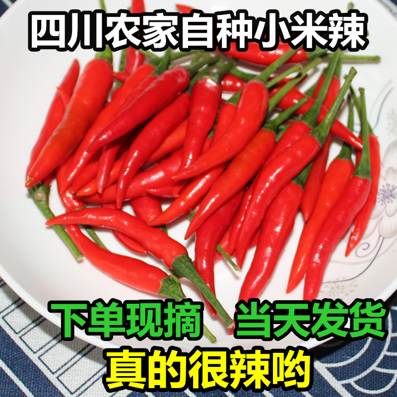 四川自贡农家自种小米辣辣椒
