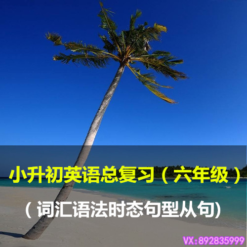 小學生6六年級英語小升初總復習語法句型時態從句詞匯視頻教程學