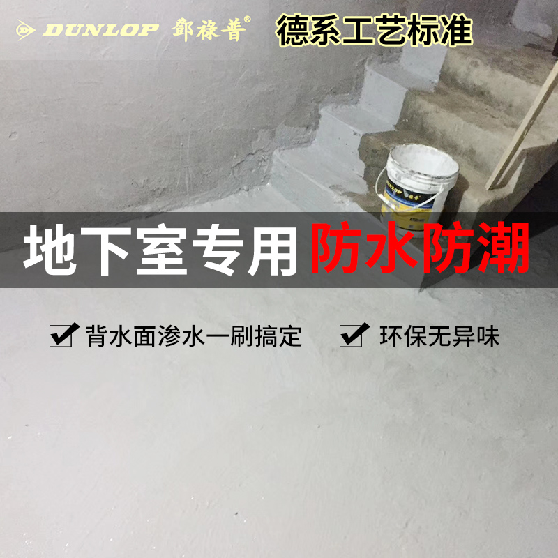 德国邓禄普地下室防水防潮涂料别墅防霉背水面抗渗专用负压防水料