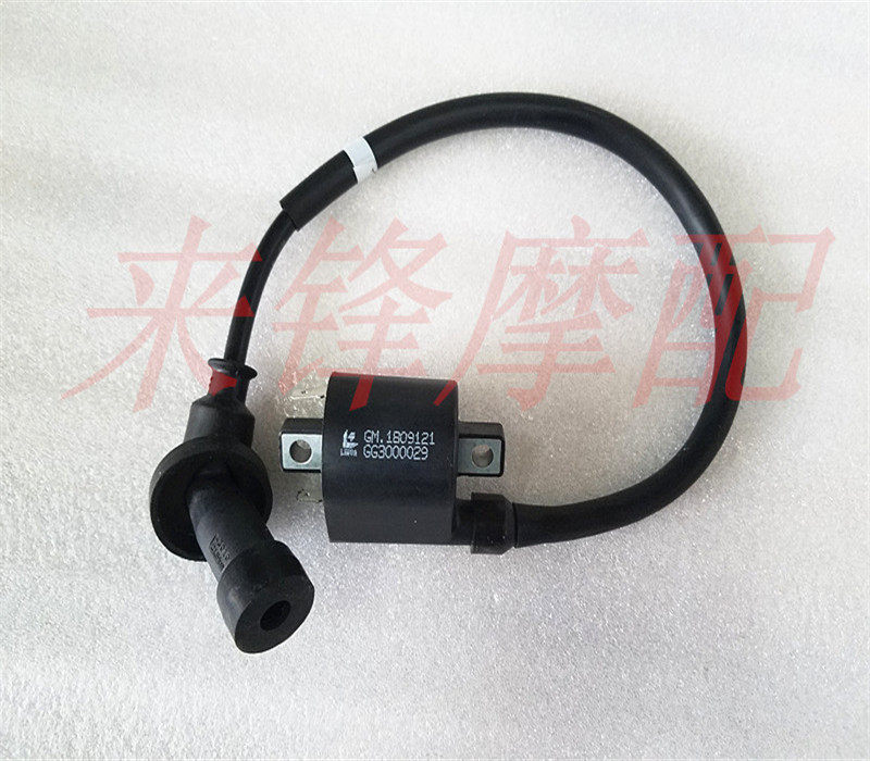 适用韵彩QS100T-B 睿彩QS125T-4B 丽彩QS125T-2B 高压包 点火线圈在类目 摩托车/装备/配件, 摩托车配件, 点火器/点火装置中 - 来自Buy2taobao.com提供专业的淘宝代购服务