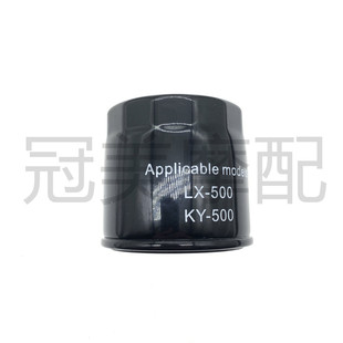 适用赛科龙RX3S/RG3/RC401/RX401/RE560/RX600机油格滤清器滤芯