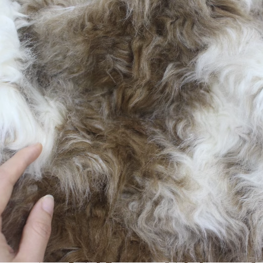 【买3送1】新品~高定！混色小狗~泰迪熊手工玩偶毛绒面料（双色入