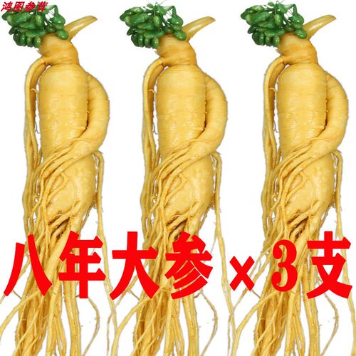 褐衣草妖新鲜人参火锅滋补参