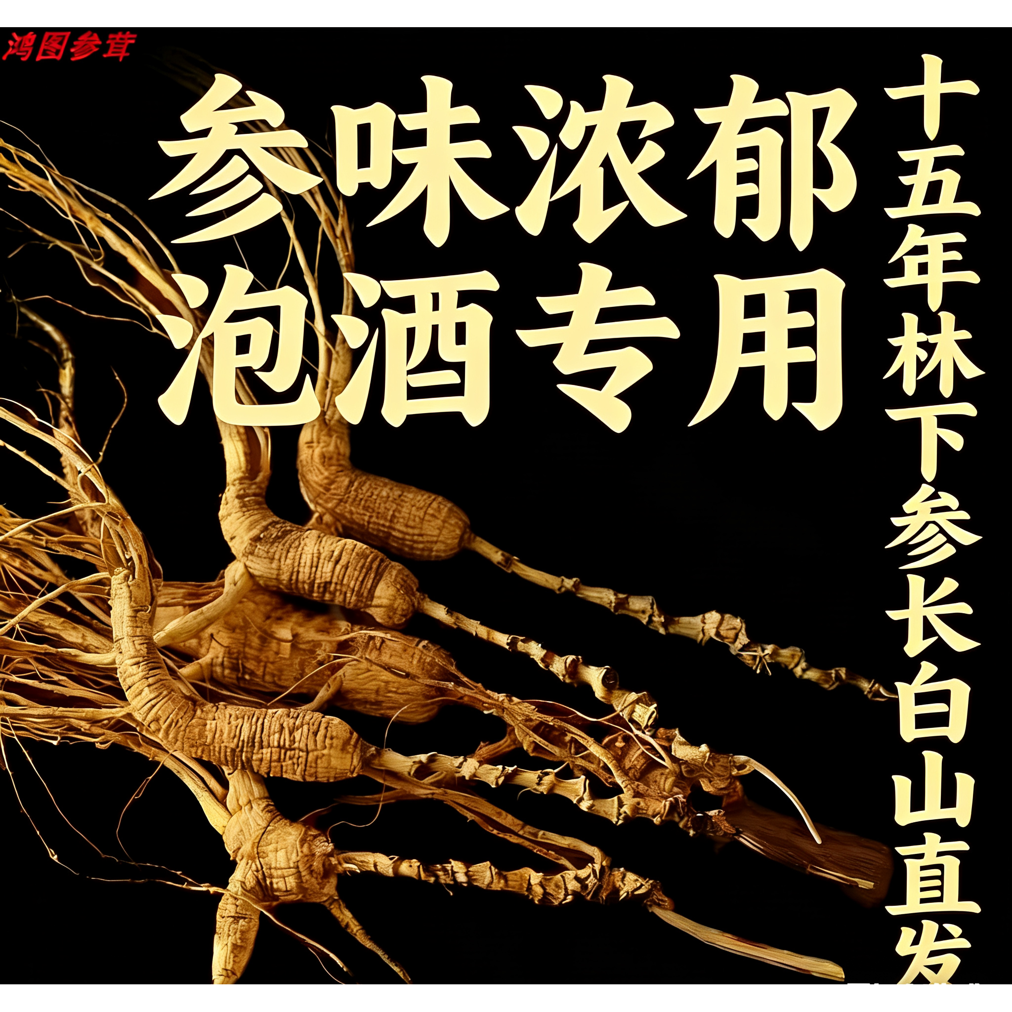 褐衣草妖人参泡酒专用