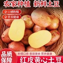 云南红皮黄心土豆9斤新鲜洋芋马铃薯农家现挖精品新鲜蔬菜批发