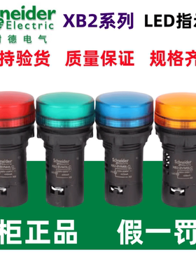 原装施耐德XB2BVB XB2BVMD XB2BVQ1LC 3LC 4LC 5LC 6LC指示灯LED