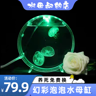 水母活物专用缸小型海洋小宠物可爱 观赏网红小水母活体活物家养