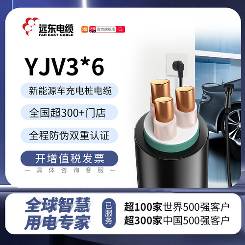 远东电缆新能源车电缆YJV3*6