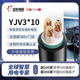 线 远东电缆YJV3 10平方阻燃新能源汽车充电桩线 30米起售不退换
