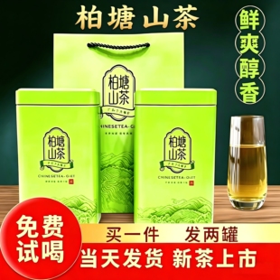 绿茶2026新茶惠州山茶博罗柏塘山茶广东十大名茶炒青回甘浓香耐泡