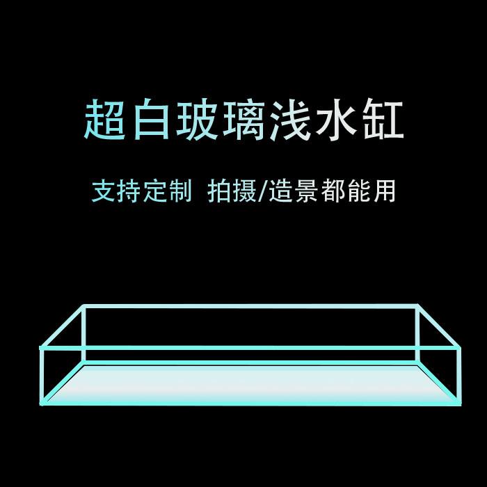 定制矮缸金晶五线浅水缸超白玻璃金鱼缸摄影草缸乌龟缸溪流造景缸