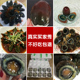 湖北沙湖特产皮蛋松花蛋无铅工艺土鸭蛋变蛋松花皮蛋溏心20枚 包邮